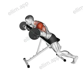 EZ Barbell Anti Gravity Press exercise targeting Shoulders and Deltoid Anterior