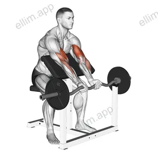 EZ Barbell Close Grip Preacher Curl exercise targeting Upper Arms and Brachialis