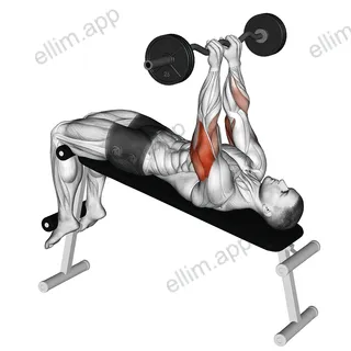 EZ Barbell Decline Close grip Face Press exercise targeting Upper Arms and Triceps Brachii