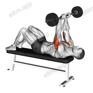 EZ Barbell JM Bench Press exercise targeting Upper Arms and Triceps Brachii