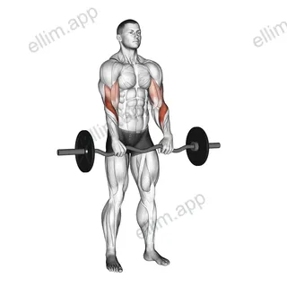 EZ Barbell Reverse Grip Curl exercise targeting Forearms and Brachioradialis