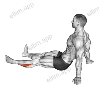 Feet and Ankles Rotation Stretch exercise targeting Calves and Soleus