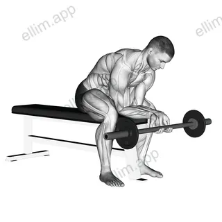 Finger Curls exercise targeting Forearms