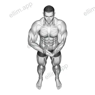 Finger Extensor Stretch exercise targeting Forearms