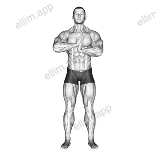 Finger Flexor Stretch exercise targeting Forearms