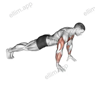 Finger Push-up exercise targeting Chest and Pectoralis Major Clavicular Head