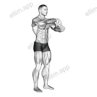 Fingers Down Forearm Stretch exercise targeting Forearms and Brachialis