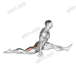 Flexion And Extension Hip Stretch exercise targeting Hips and Gluteus Maximus