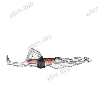 Flexion Leg Sit up (straight arm) exercise targeting Waist and Rectus Abdominis