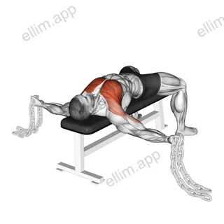 Fly agains Chains exercise targeting Chest