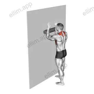 Foam Roll Serratus Wall Slide exercise targeting Back and Serratus Anterior