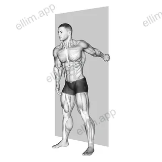 Forearm Pronator Stretch exercise targeting Forearms