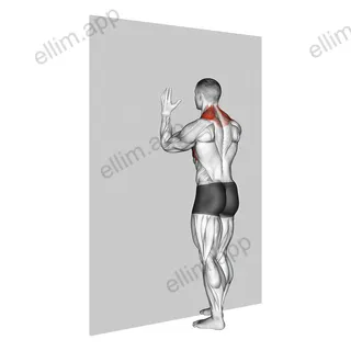 Forearm Wall Slide exercise targeting Back