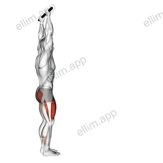 Forward Pulse Lunge with Hands Overhead exercise targeting Gluteus Maximus and Quadriceps