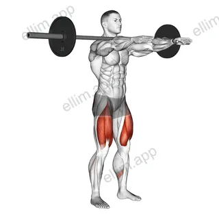 Frankenstein squat exercise targeting Thighs and Gluteus Maximus