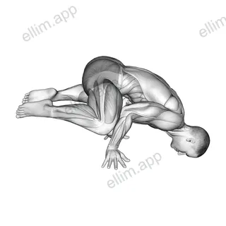 Frog planche exercise targeting Waist and Obliques