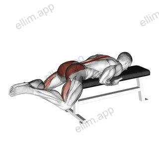 Frog Reverse Hyperextension (on a bench) exercise targeting Hips