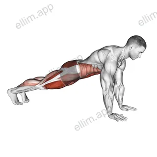 Frogger exercise targeting Waist and Gluteus Maximus