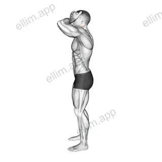 Front and Back Neck Stretch exercise targeting Neck and Sternocleidomastoid
