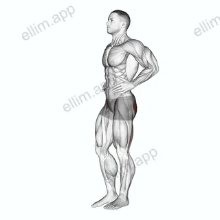 Front Back Leg Raises exercise targeting Hips