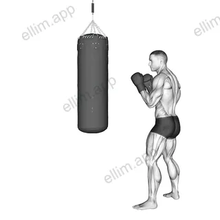 Front Groin Kick Kickboxing (with boxing bag) exercise targeting Plyometrics