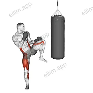 Front Kick Kickboxing (with boxing bag) exercise targeting Plyometrics