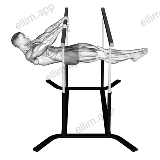Front Lever exercise targeting Waist and Rectus Abdominis