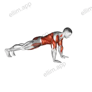 Front Plank Walkout exercise targeting Plyometrics