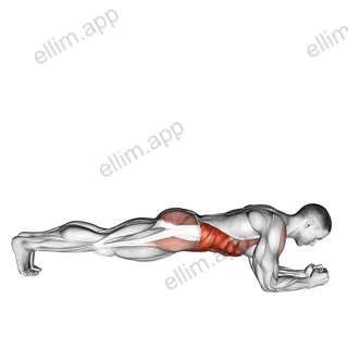 Front Plank with Twist exercise targeting Waist and Obliques