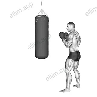 Front Snap Kick Kickboxing (with boxing bag) exercise targeting Plyometrics