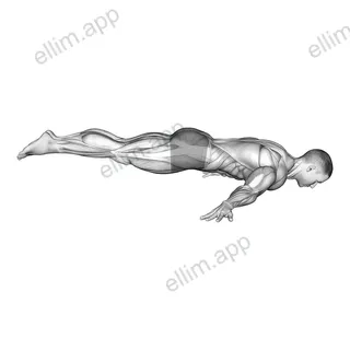 Full Maltese exercise targeting Waist