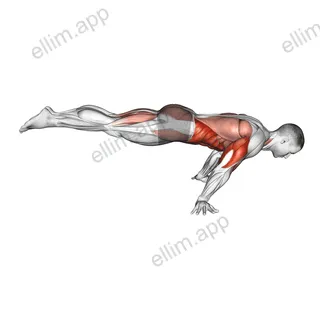 Full Planche Push-Up exercise targeting Obliques and Pectoralis Major Clavicular Head