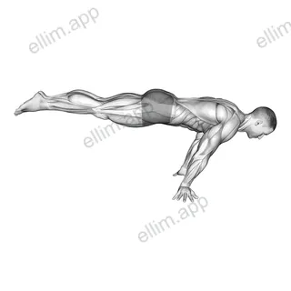 Full planche exercise targeting Waist and Rectus Abdominis