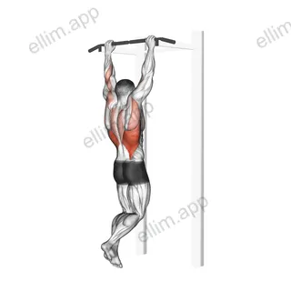 Gironda Sternum Chin exercise targeting Back and Latissimus Dorsi