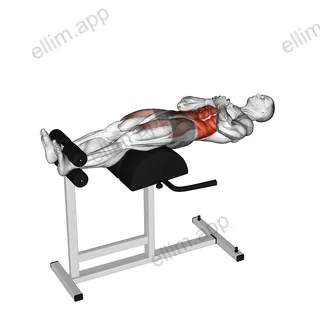 Glute Ham Developer Sit up and Russian Twist exercise targeting Waist