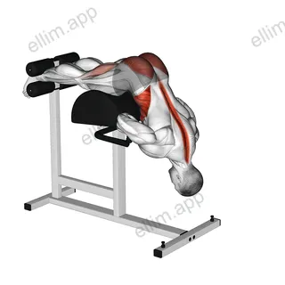 Glute Ham Hyperextension Twist exercise targeting Hips