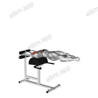 Glute Ham Raise with Extended Arms exercise targeting Thighs
