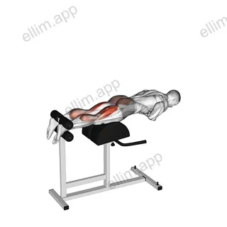 Glute Ham Raise exercise targeting Thighs