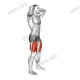 Good Morning Squat exercise targeting Hips and Hamstrings