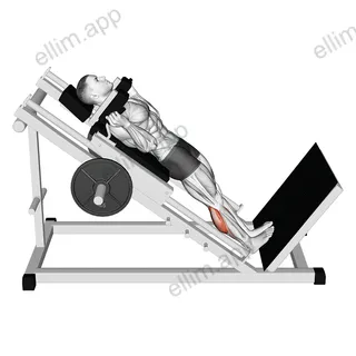 Hack Calf Raise exercise targeting Calves and Gastrocnemius