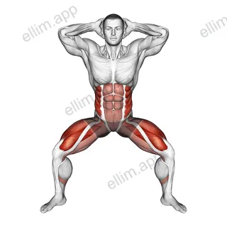 Half Squat Side Reach exercise targeting Waist