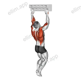 Handboard Hang with 135 Degree Elbow exercise targeting Forearms