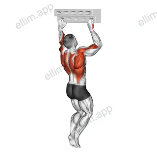 Handboard Hang with 90 Degree Elbow exercise targeting Forearms