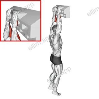 Handboard Open Hand Grip exercise targeting Forearms and Wrist Flexors