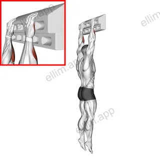Handboard Slope Hang exercise targeting Forearms