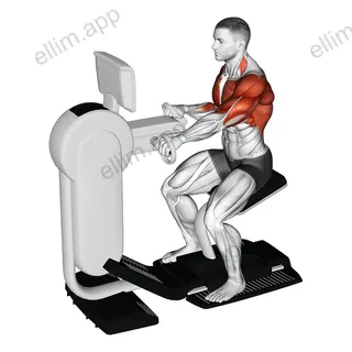 Hands bike exercise targeting Cardio