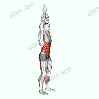 Hands Clasped Circular Toe Touch exercise targeting Hips and Waist