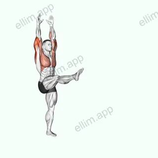 Handstand exercise targeting Upper Arms and Triceps Brachii