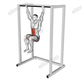 Hanging Deadbug exercise targeting Hips and Iliopsoas