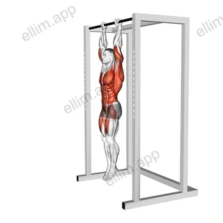 Hanging Front Lever Hold exercise targeting Waist